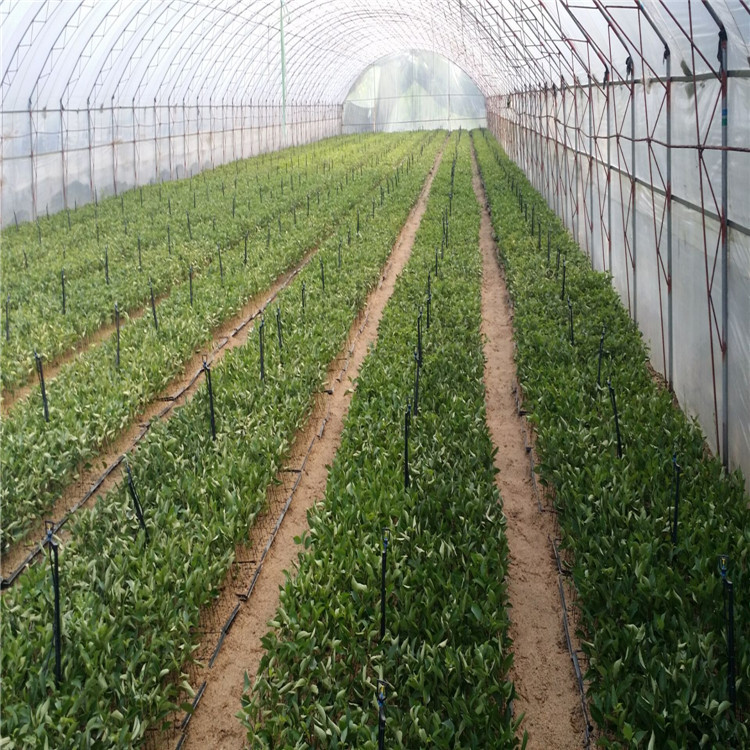 QQ图片20160727085805