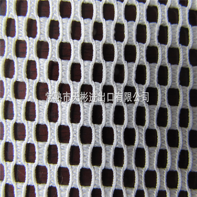 天彬出售 女装面料 春夏季镂空网布 涤纶产品 大气时尚款
