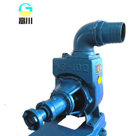 NS-100