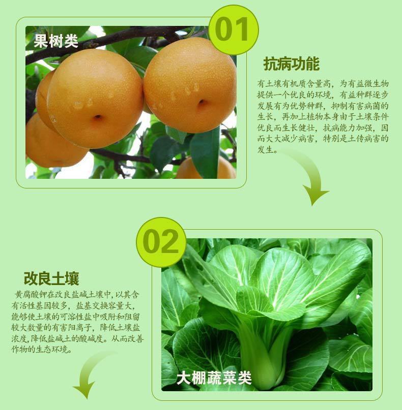 详情1_04
