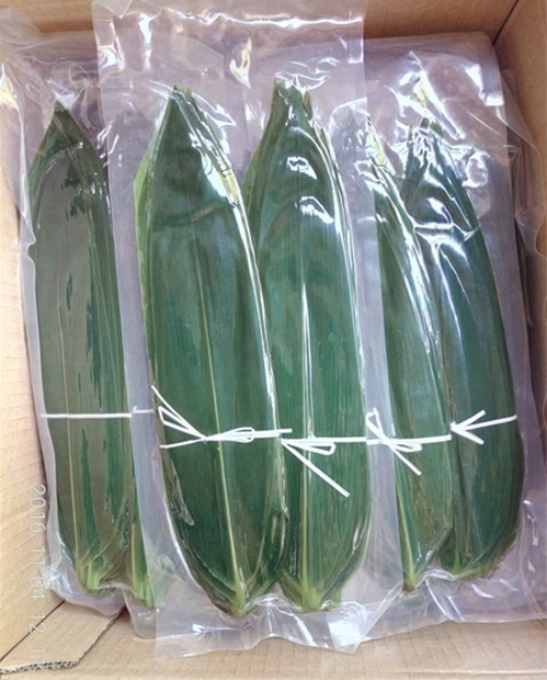 茯莲竹叶粥_茯莲竹叶粥供应商_茯莲竹叶粥批