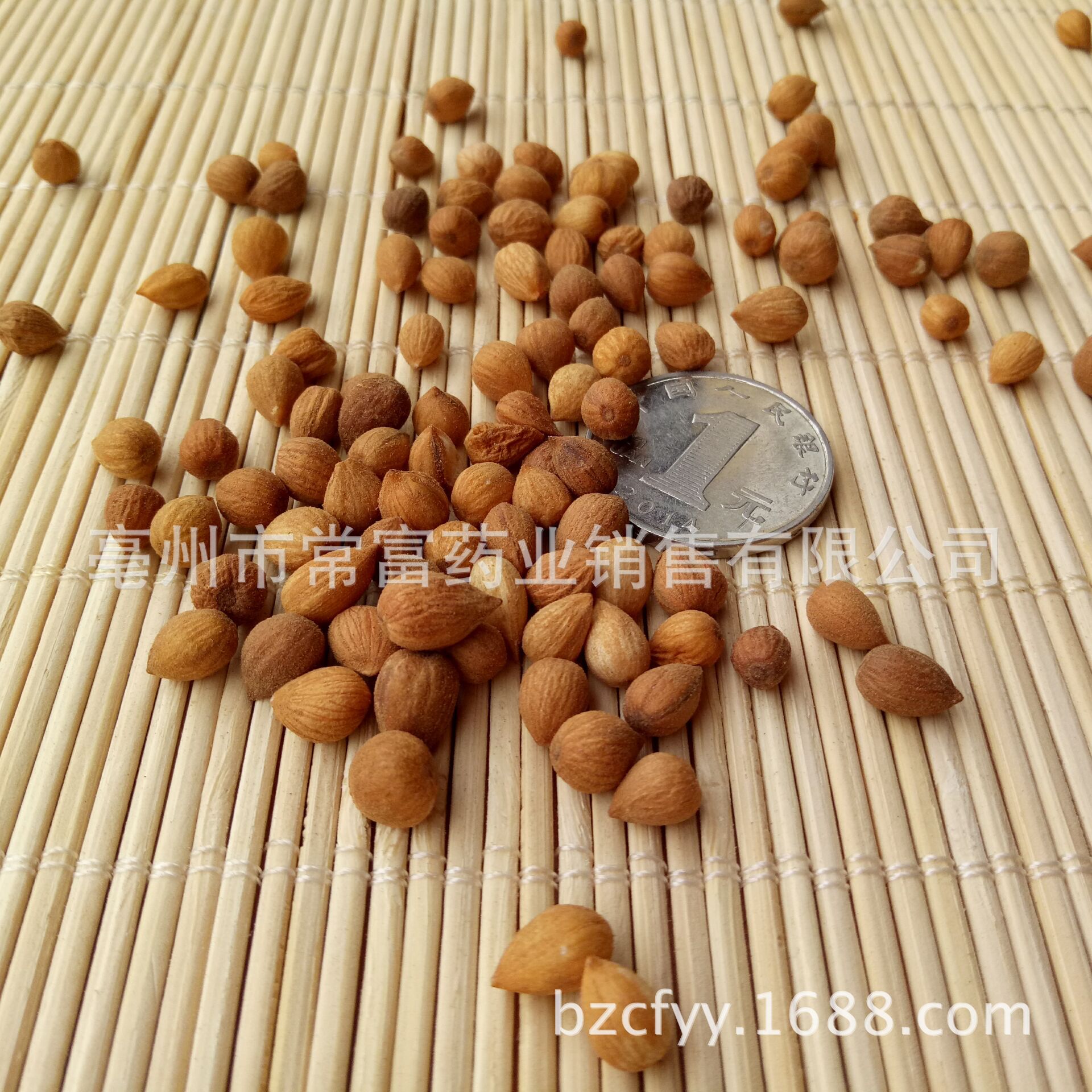 Chinese Bush Cherry Seed Yu Li Ren Prunus humilis Dried Herbal Seeds 500g for Culinary and Decoction Use specifications
