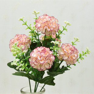 �S�����l5����� �¿���ɫ���滨 �b[�Ż�ˇ ���� 5�^����
