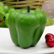 徐州蔬菜批发价格_最新徐州蔬菜批发价格\/批发