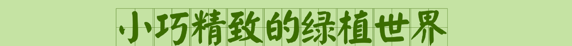 详情1 后面