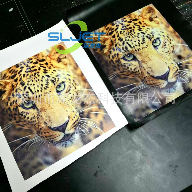 深龍杰PU皮數(shù)碼彩印效果6100機(jī)