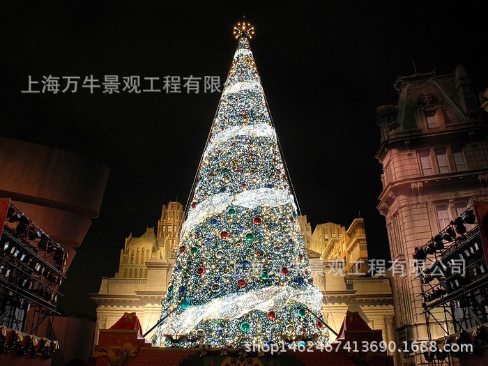 大型圣诞树 (75)