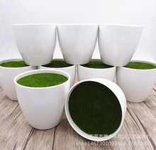 仿真花插花器塑料仿瓷花盆迷你小花盆多肉植物小花盆带泡沫