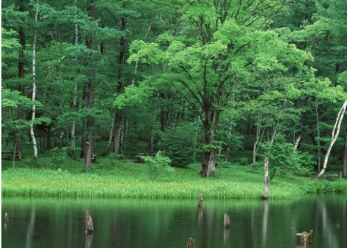 QQ圖片20161211142527