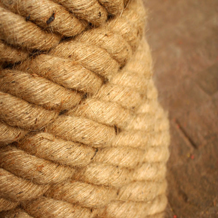 2724783861_1261086338