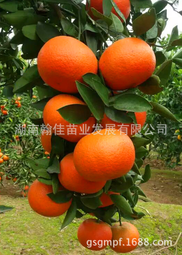 9bb19ea5570bc63efde3782bc25d06