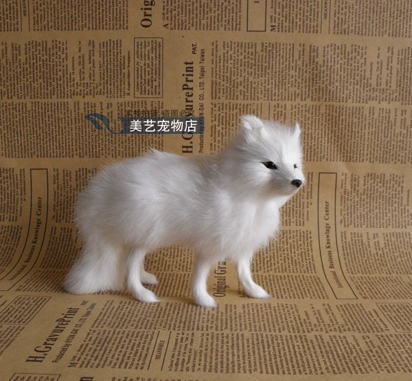 Arctic fox