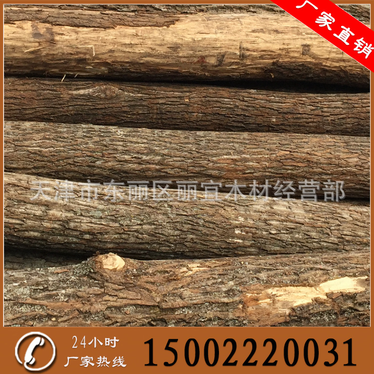 批发楸木 红楸木 东北楸木原木 规格齐全|ms