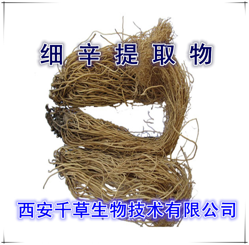 细辛提取物