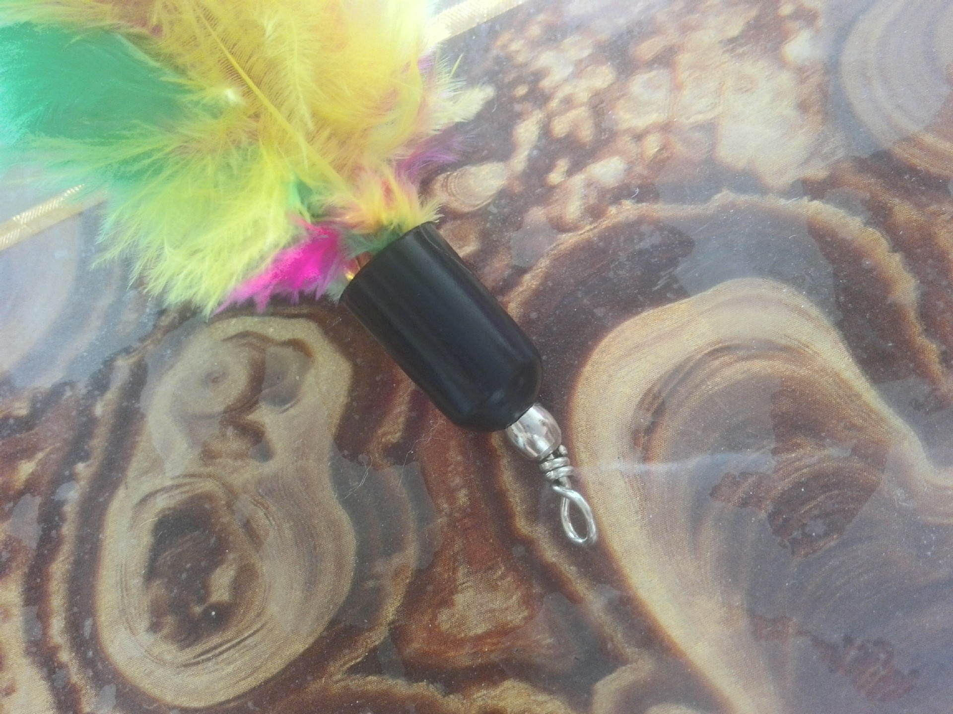 1IMG_20160604_072021_HDR