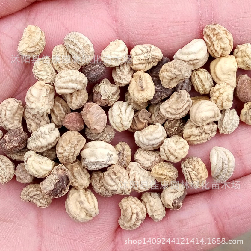 ������1_����