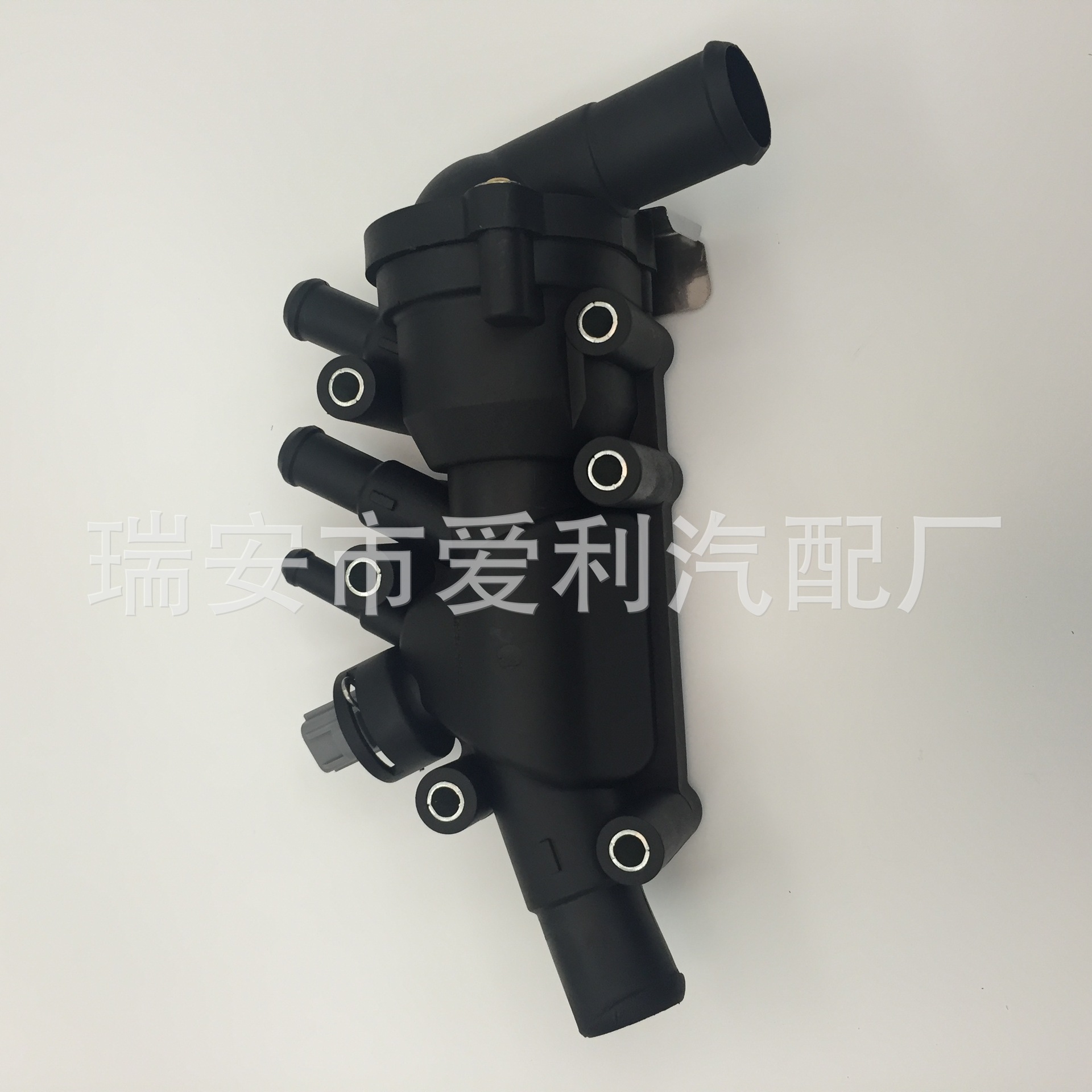 照片 2933