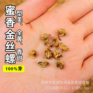 ���]|���� �����z�� ����P�c��t�� ȫ�S�� �t����ݴ� �����