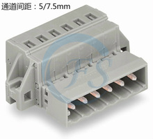 MCS免螺絲彈簧連接器 731-602/019-000接插件 插拔式公母對插接頭