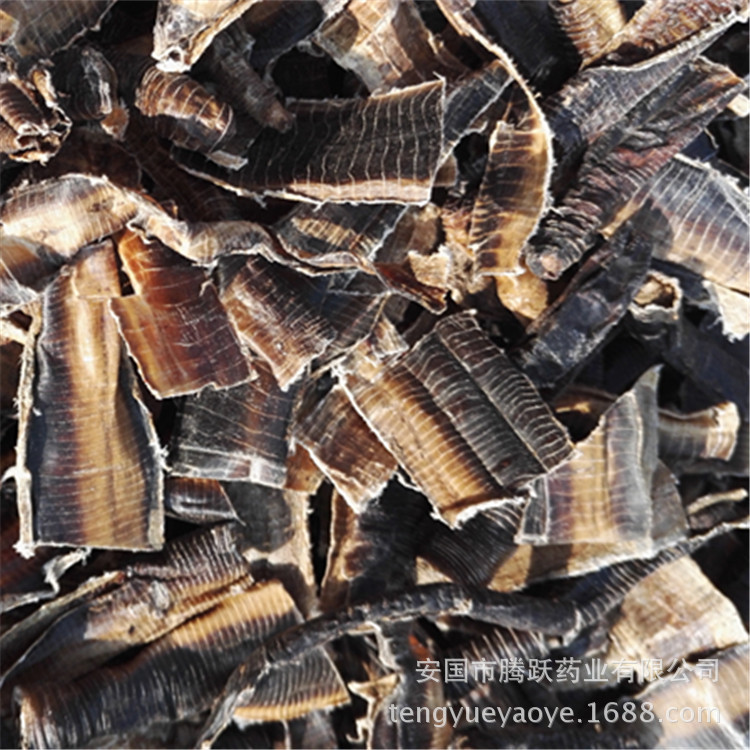Dried Earthworm Di Long Pheretima Traditional Chinese Herbal Material 500g specifications