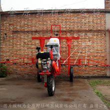 河北小麦价格_今日最新河北小麦价格行情走势