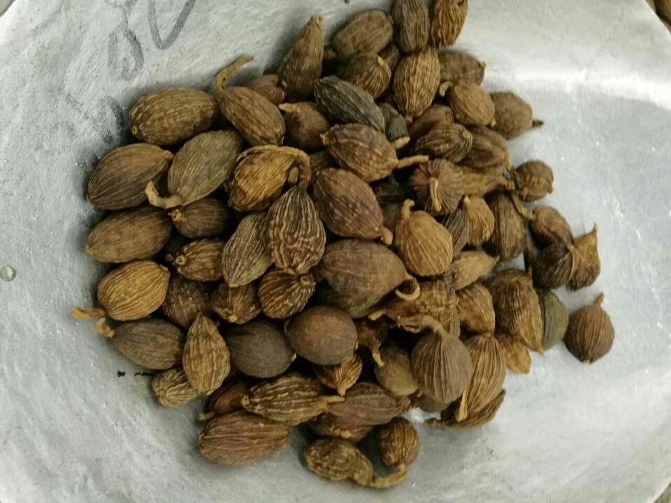 9AAF497BAA86FDD2C97A97F8544A45