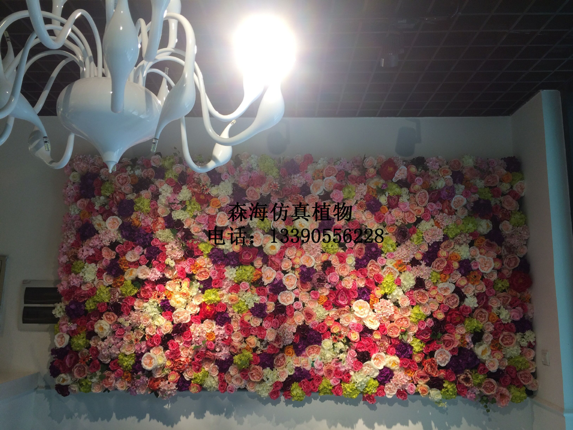 QQ图片20160531131413