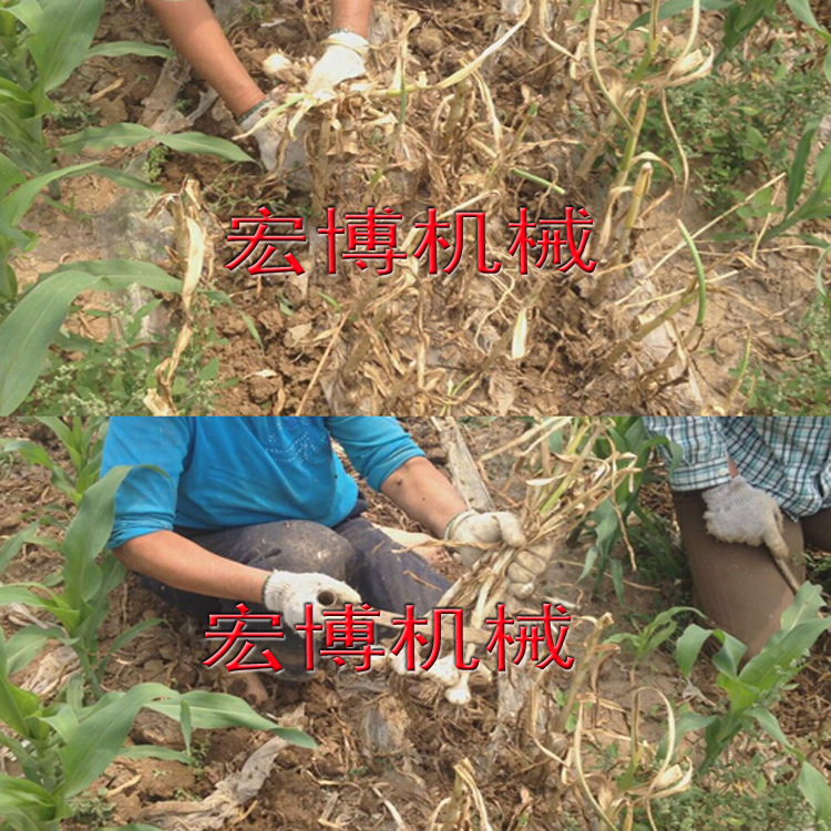 橡胶履带不伤蒜 福建