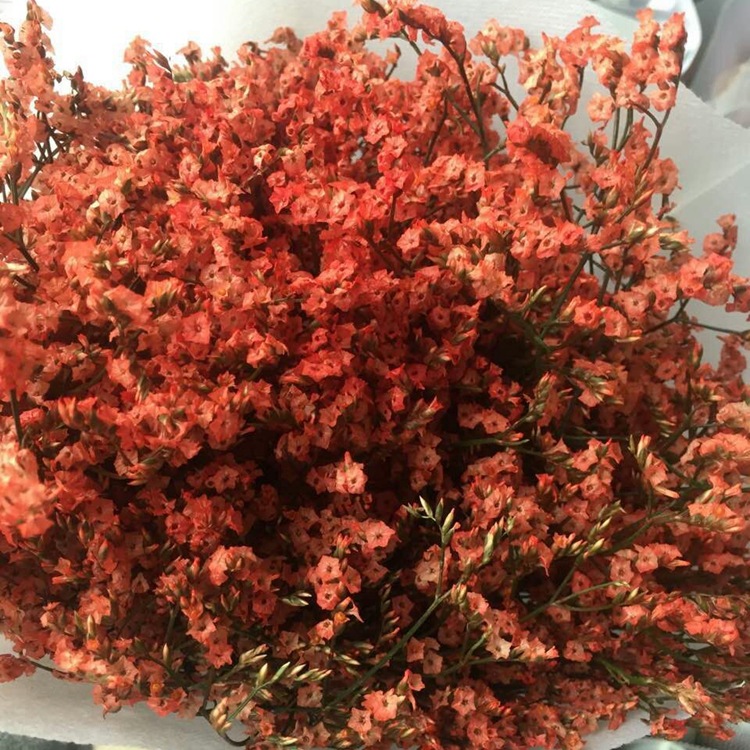 云南干花_大束彩色水晶花 绿色紫色黑色 云南