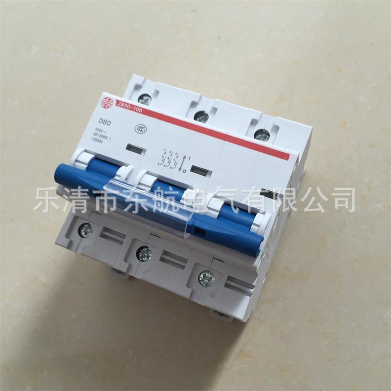 供应上海华通ZB30-125小型断路器 华五牌ZB30-100终端电气