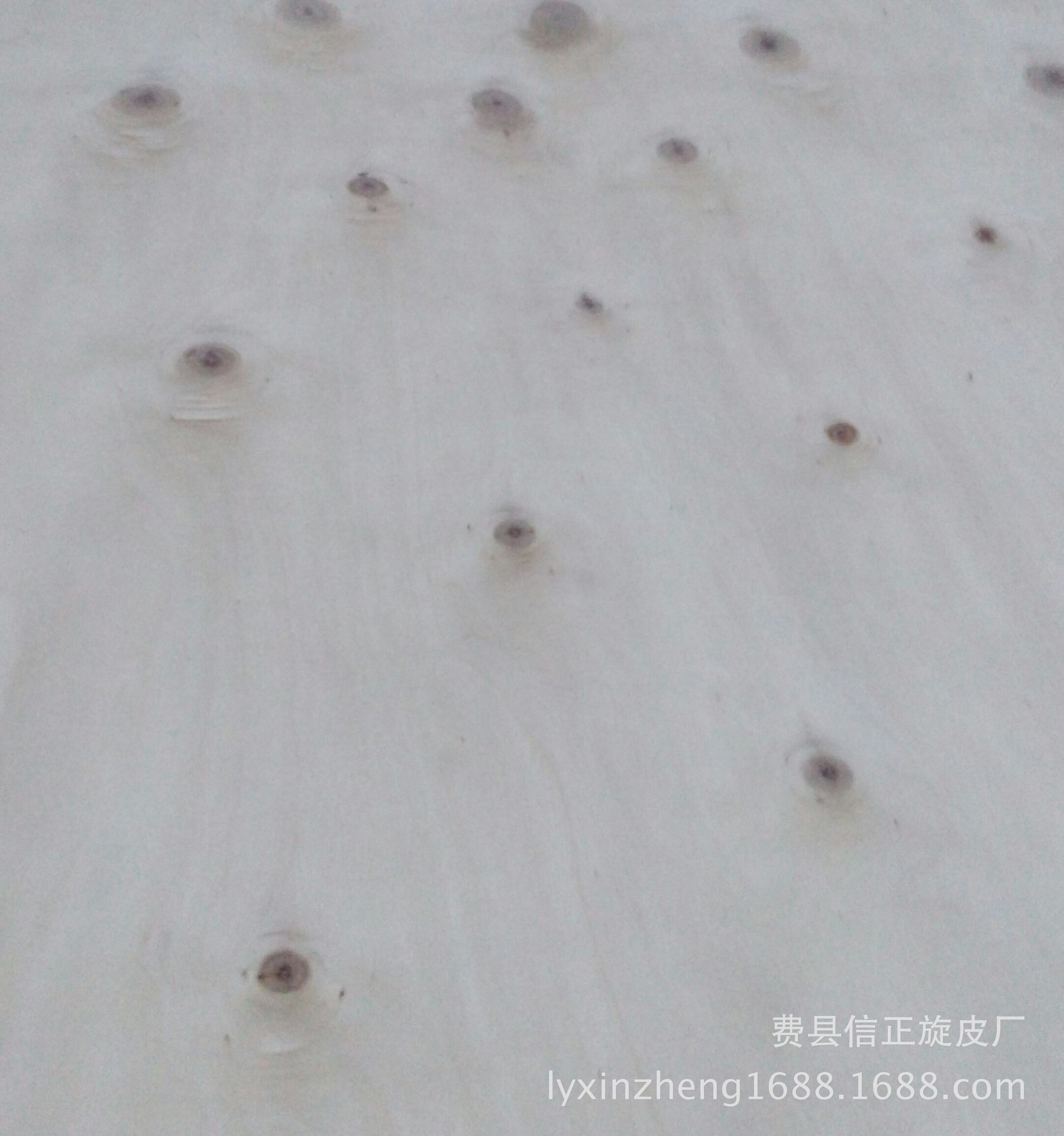 销售生态板用辐射松旋切4*8尺厚芯木皮单板 松旋切木皮-阿里巴巴