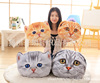 Detachable cartoon pillow, realistic cute plush toy, kitten