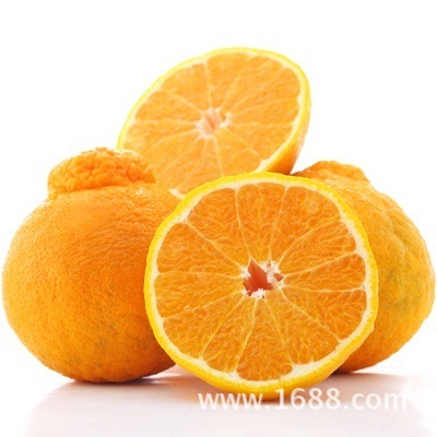 大雅1号不知火_见。大雅1号。不知火。青见。