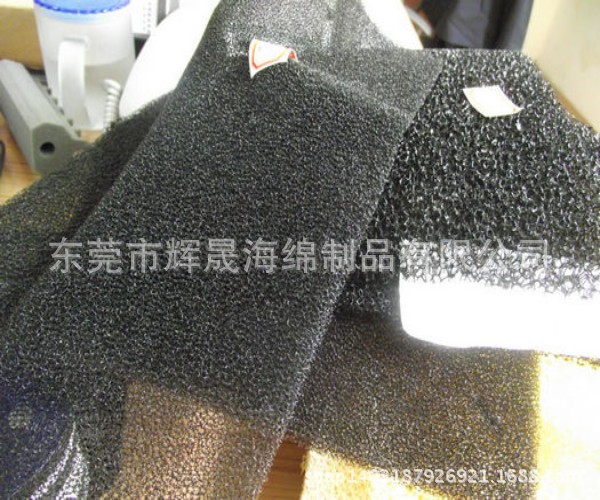 conew_照片 125