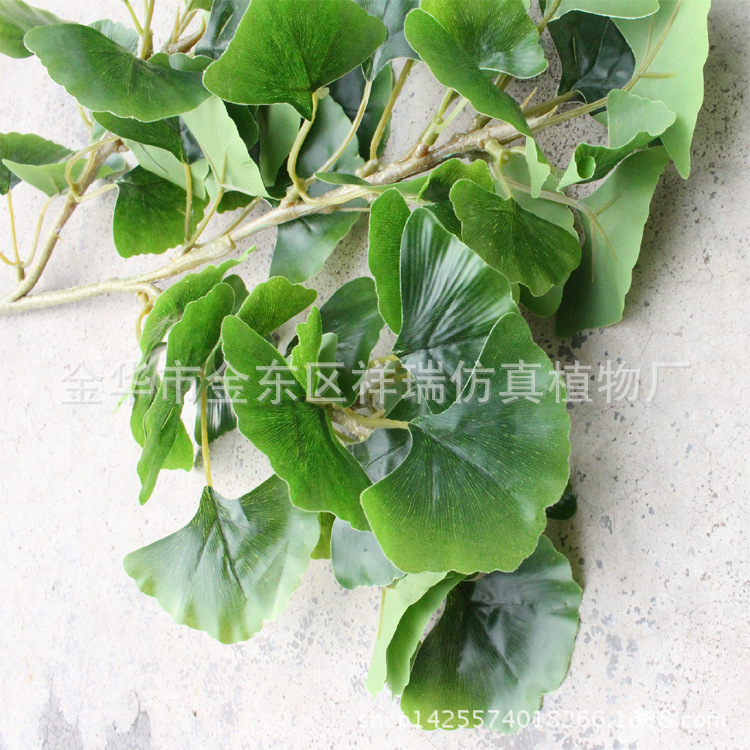 XRB-157银杏叶三叉枝15叶3