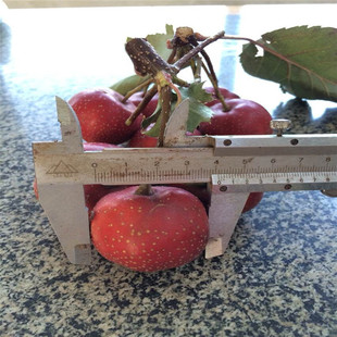 ����ɽ高� 5���ִ���������ɽ高��������u Ҏ��Ʒ�N����