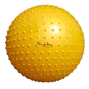 ��Ħ�w��������|�Xͯ�нyӖ�����펧�̽����ЋD�����٤��55cm