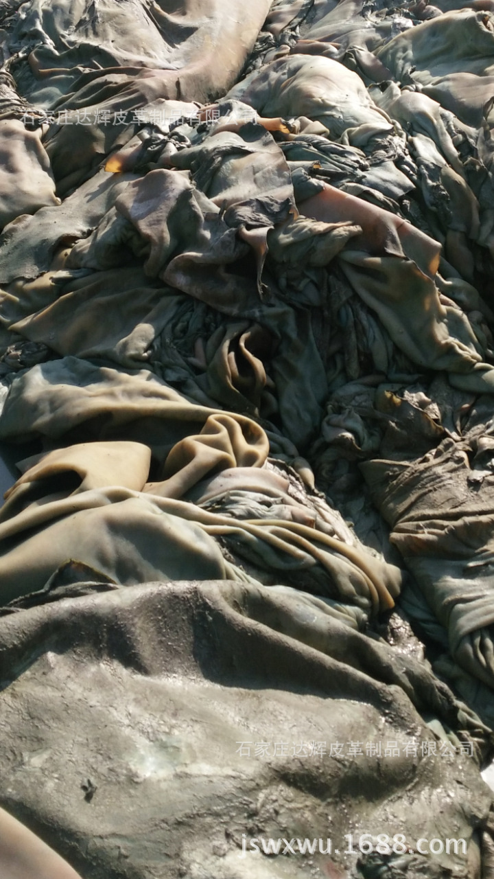 植树节截屏_20160312_192420