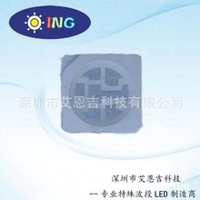 厂家供应5050 三芯365NM紫外光LED贴片式LED灯珠ING其他505050500