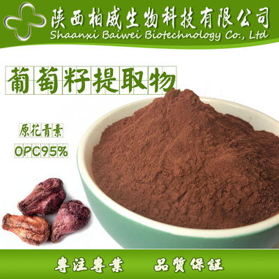 Grape seed extract Proanthocyanidins OPC 95% Baiwei Spot Welcome to consult Large concessions