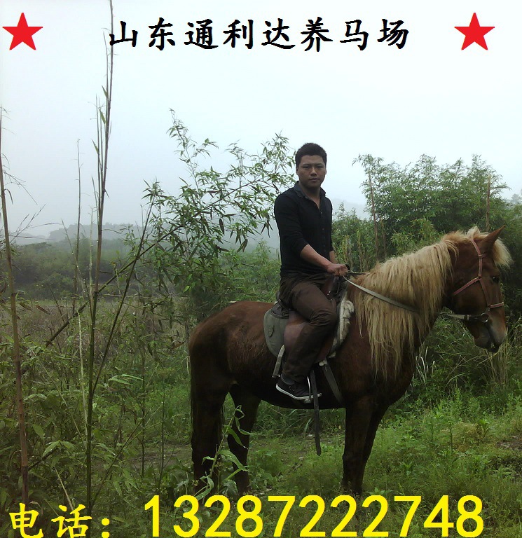 ac345982b2b7d0a2a7a8f439cbef76