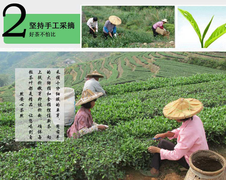 2404412150_576435656