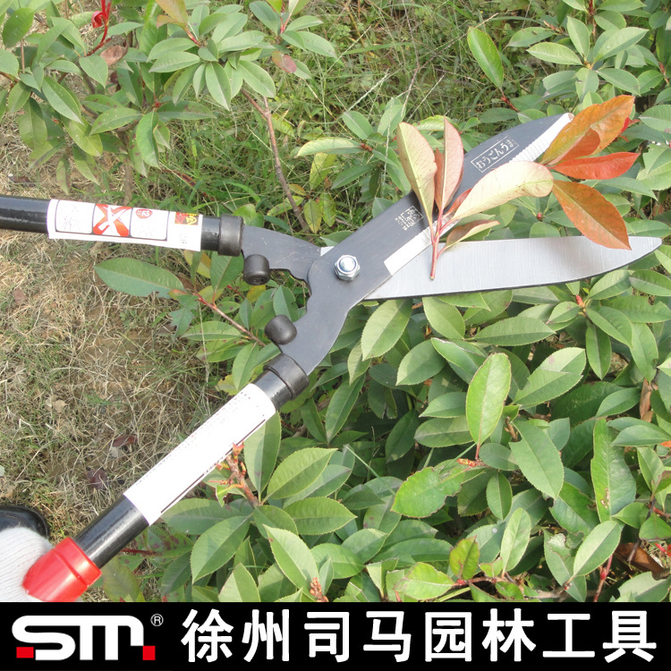 大枝剪,小枝剪图片,小枝剪(第14页)_大山谷图库