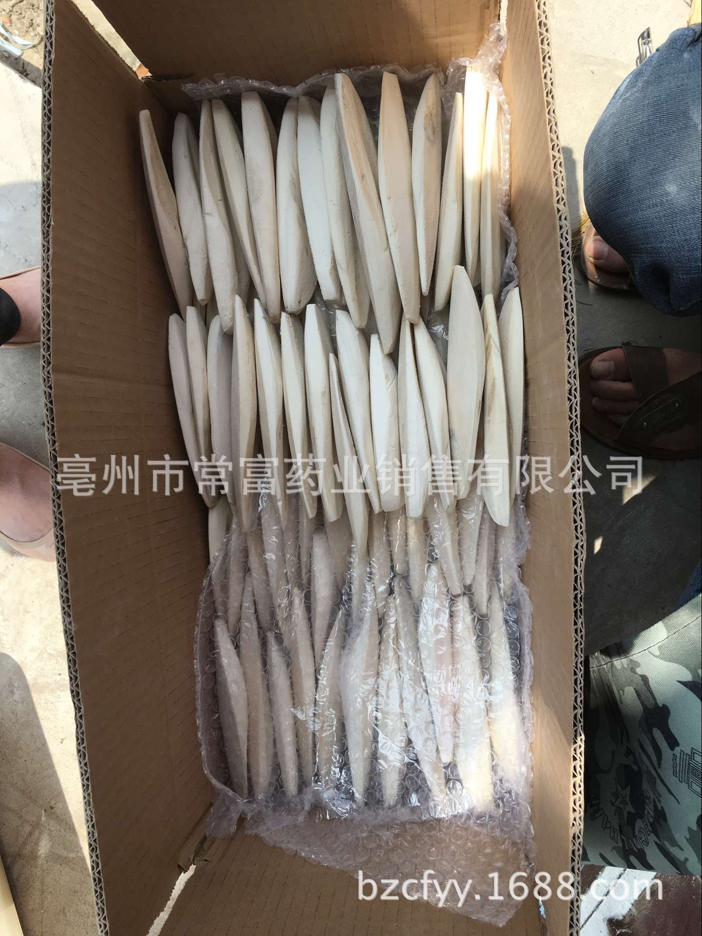 Cuttlebone Hai Piao Xiao 海螵蛸 Dried Cuttlefish Bone 500g Natural Sun Dried Whole Form in use