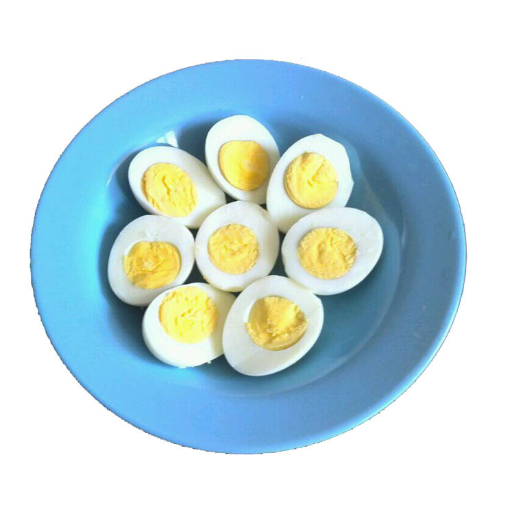 口斋虫子鸡蛋 鸡蛋批发 土特产鸡 蛋无菌鸡蛋 甘