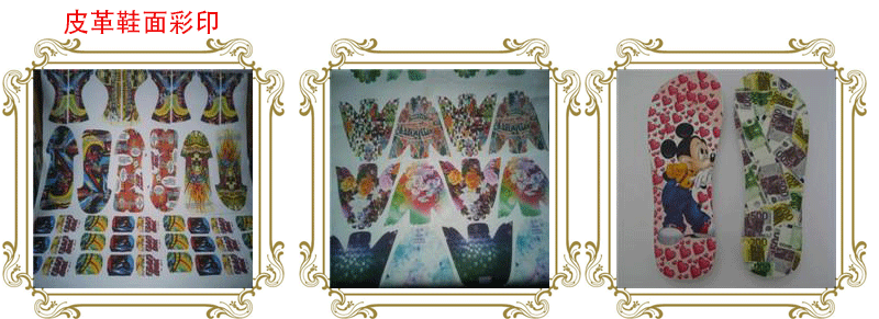 2420713217_1002460199