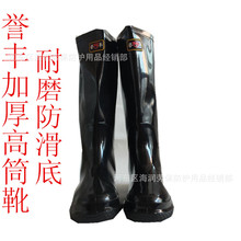 ���l���u�S����ˮ������ĥ���p΢���|���z�Ӻ�ׄڱ���������ˮѥ