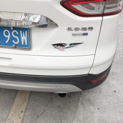 小號女孩眼睛偷窺車貼 亞馬遜車貼 規格6X24 單張價格一件代發