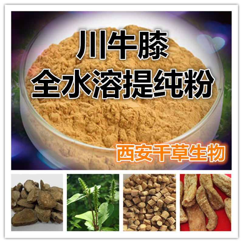 川牛膝粉