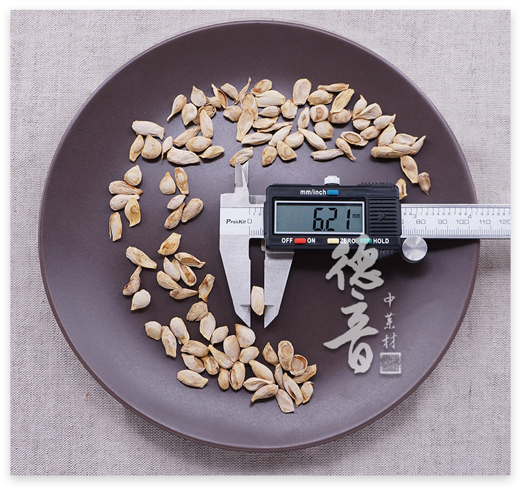 Dried Tangerine Seed Ju He 500g Sichuan Raw Herb for Decoction and Culinary Use quality and texture